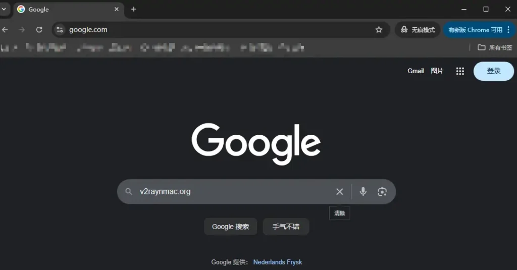 打开google网站